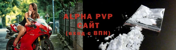 гидра Белокуриха