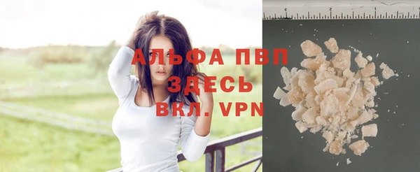 гидра Белокуриха