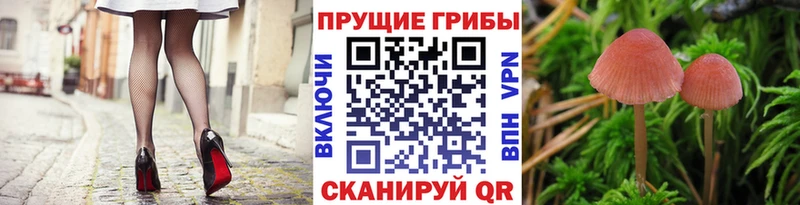 Псилоцибиновые грибы MAGIC MUSHROOMS  Печора 